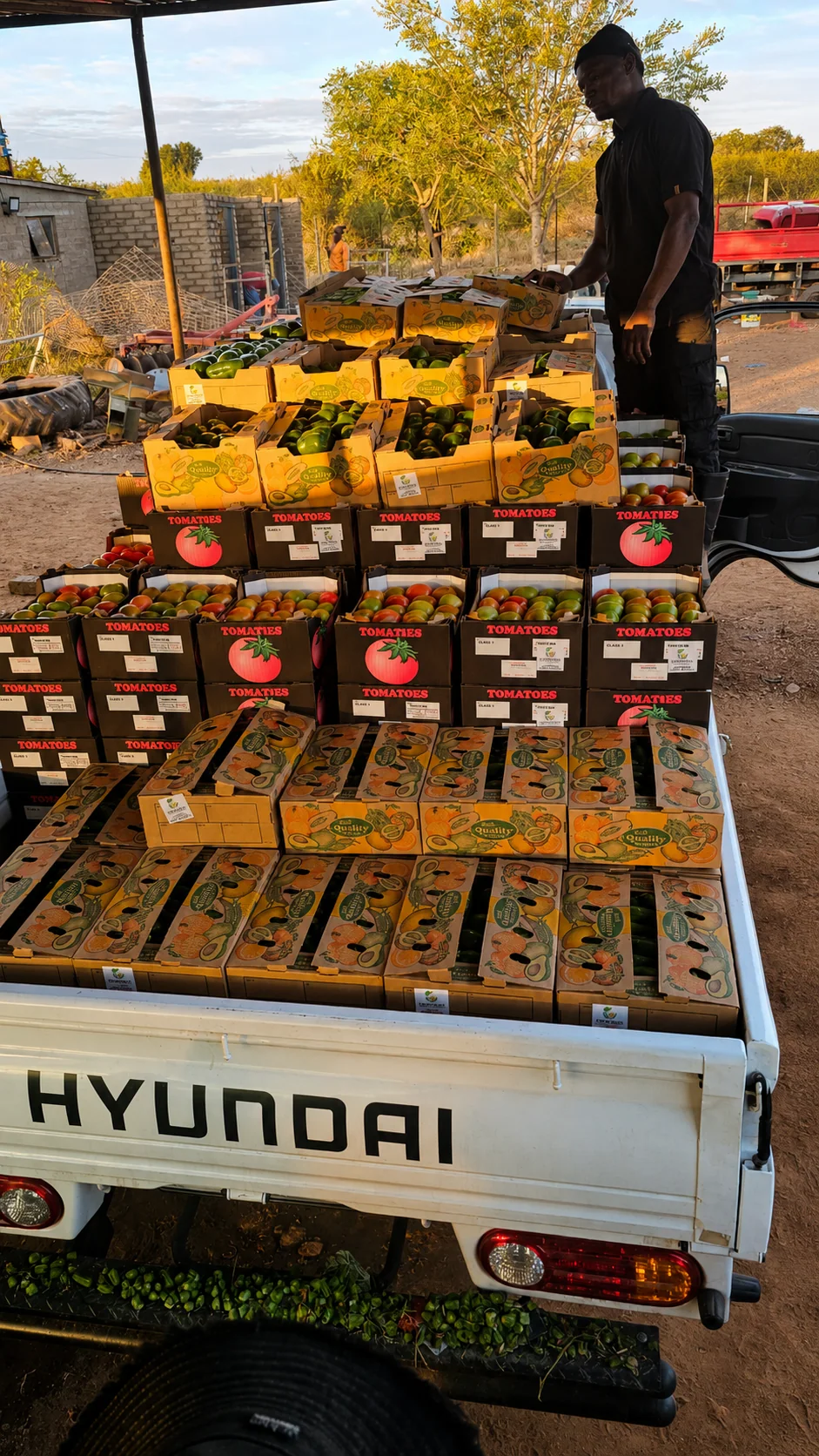 Packed produce prepared at the farm market