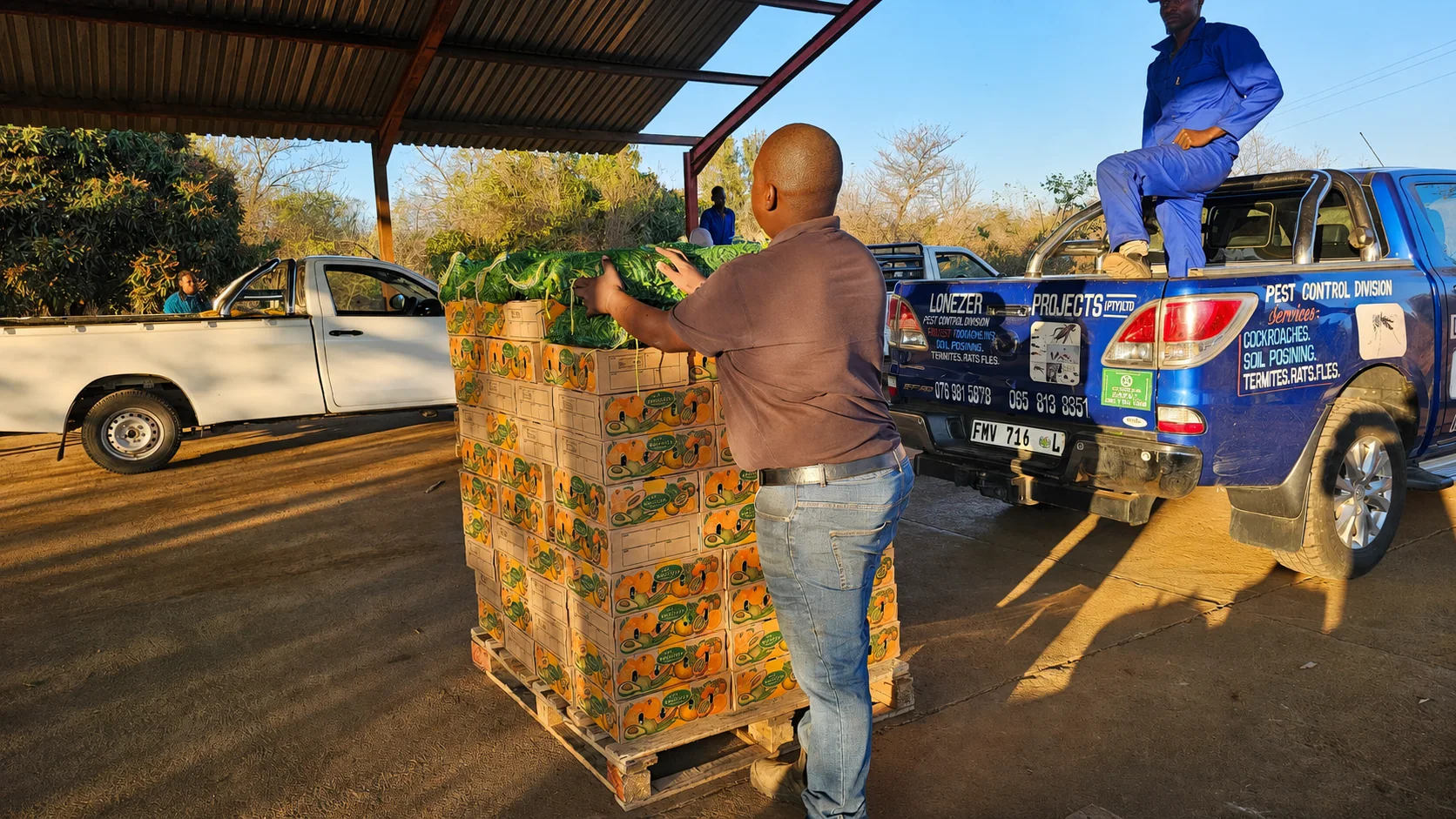 Fresh produce being loaded for delivery