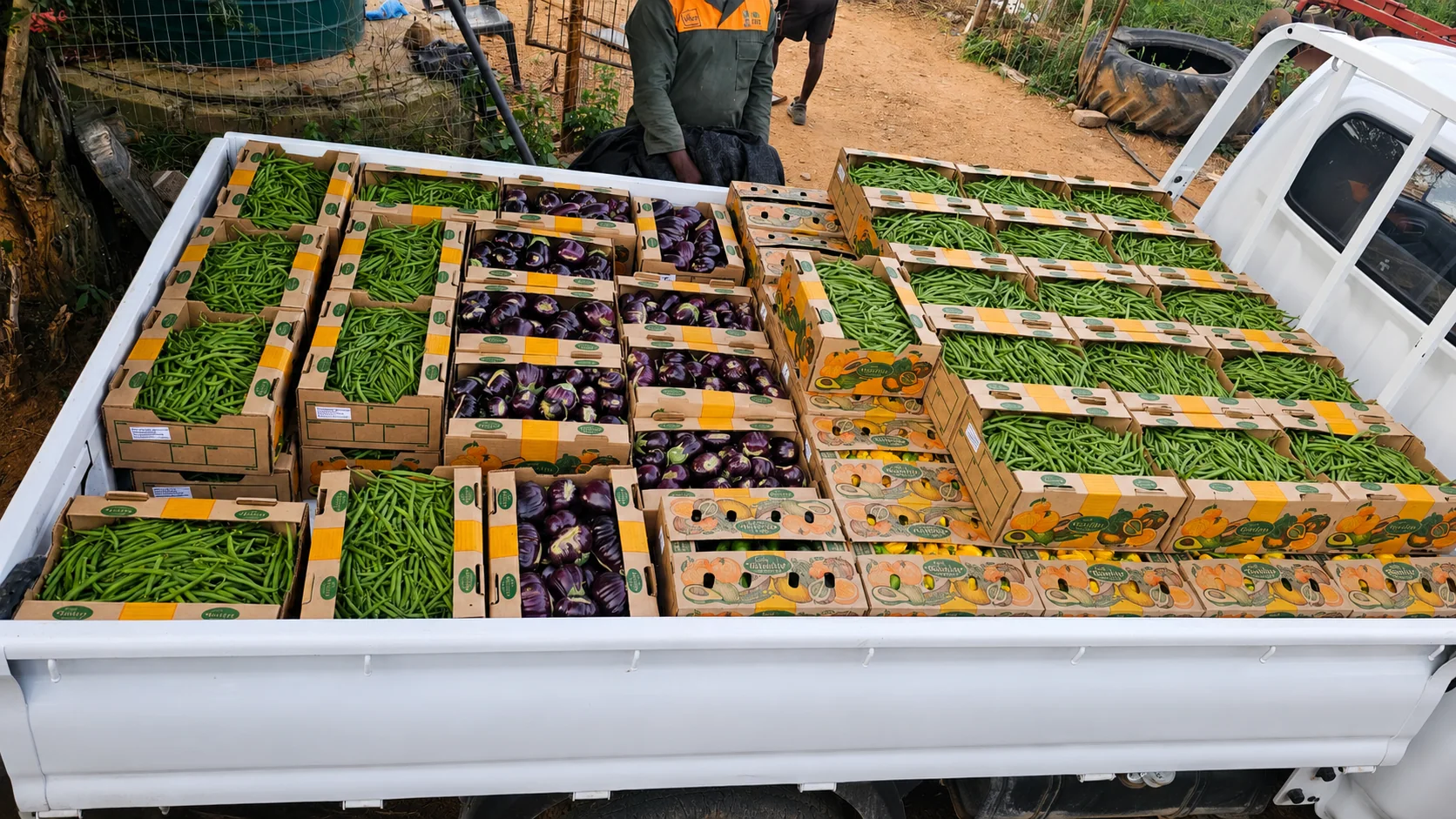 A pickup loaded with packed fresh produce